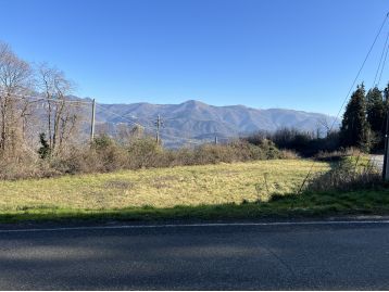 TERRENO AGRICOLO