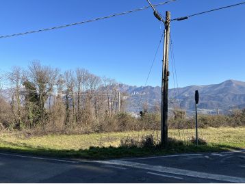 TERRENO AGRICOLO