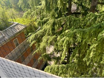 APPARTAMENTO TRE LOCALI