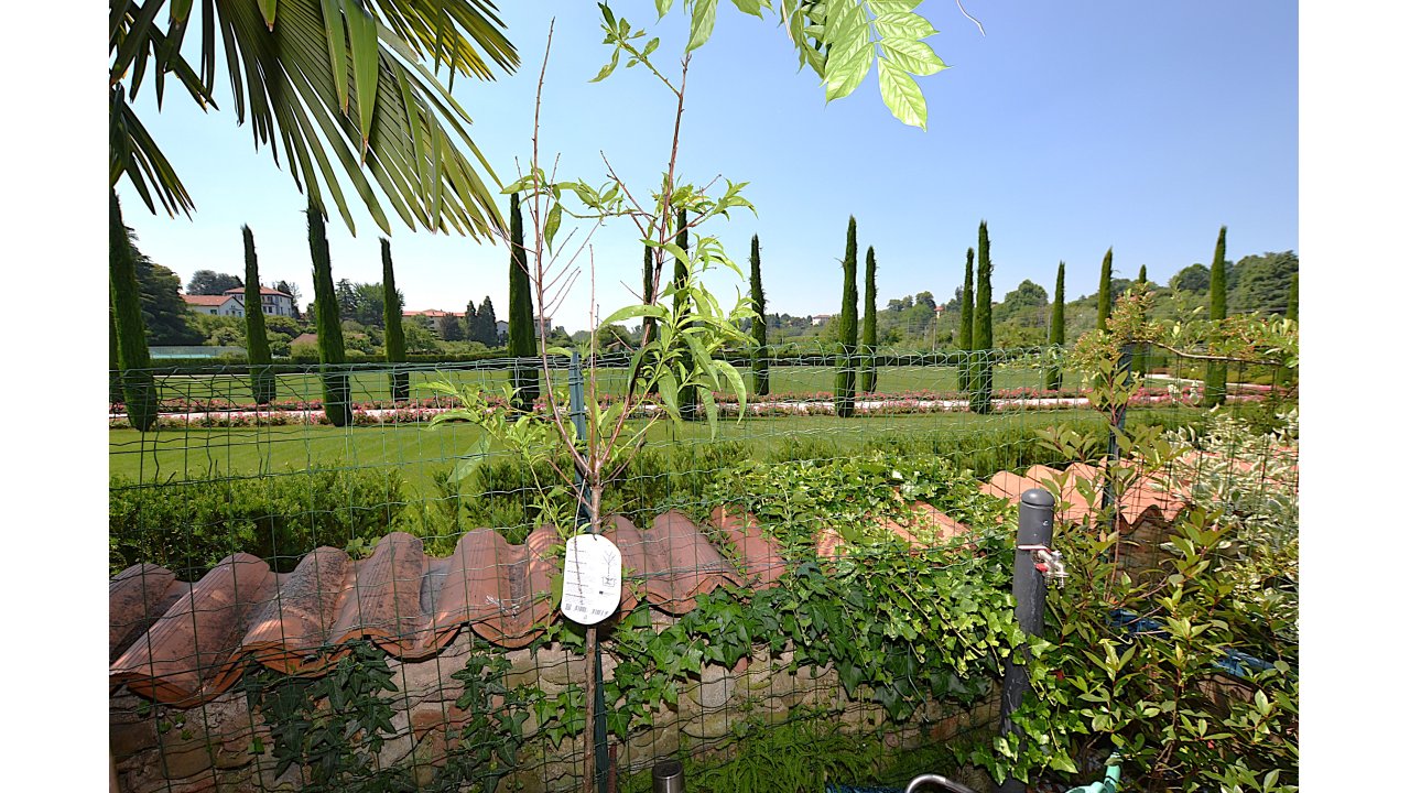 VILLETTA A SCHIERA