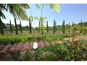 VILLETTA A SCHIERA